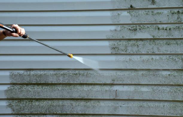 Best Building Exterior Washing  in Margaret, AL